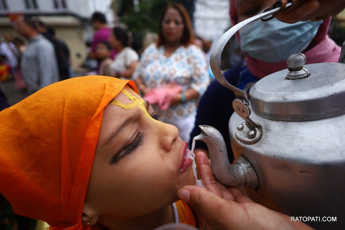 gaijatra (10)