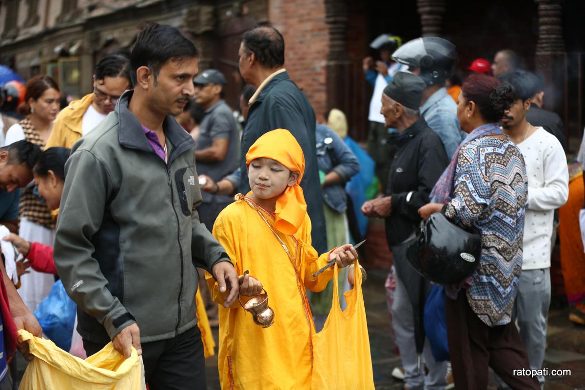 gaijatra (14)