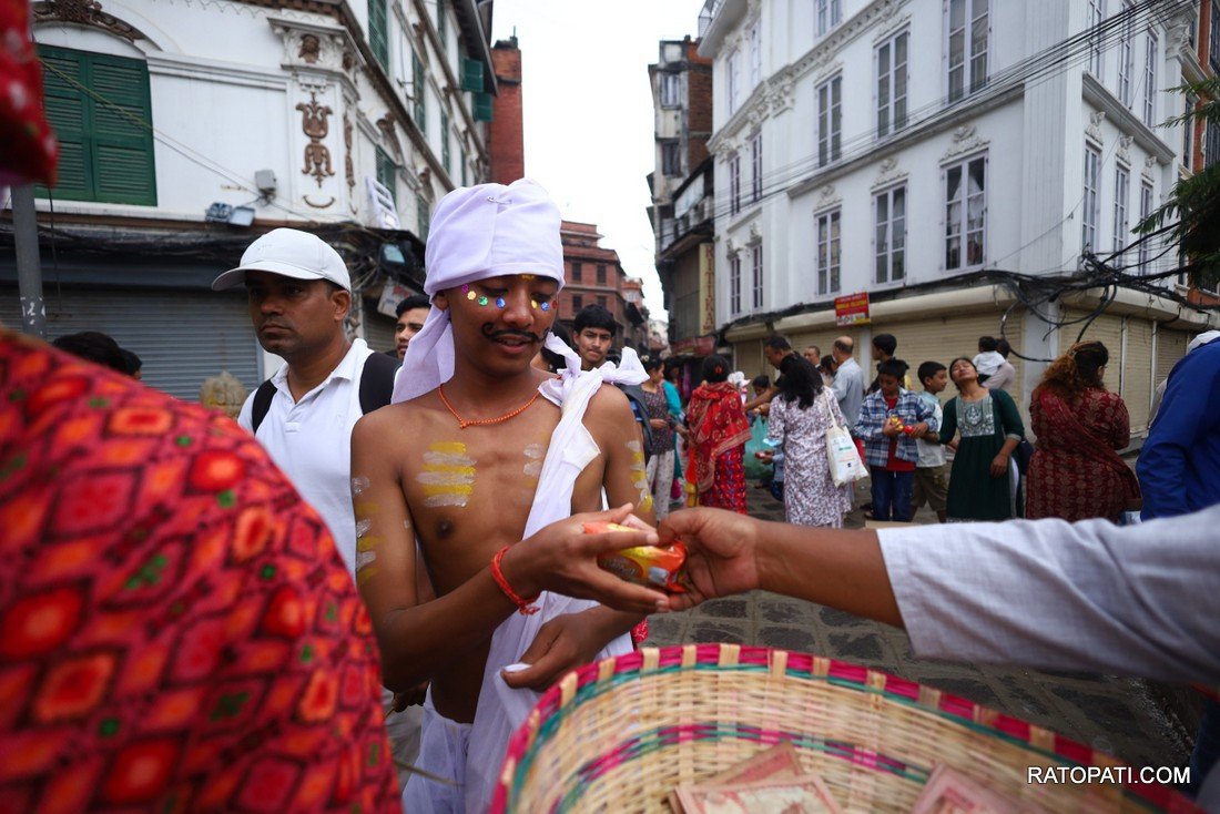 gaijatra (15)