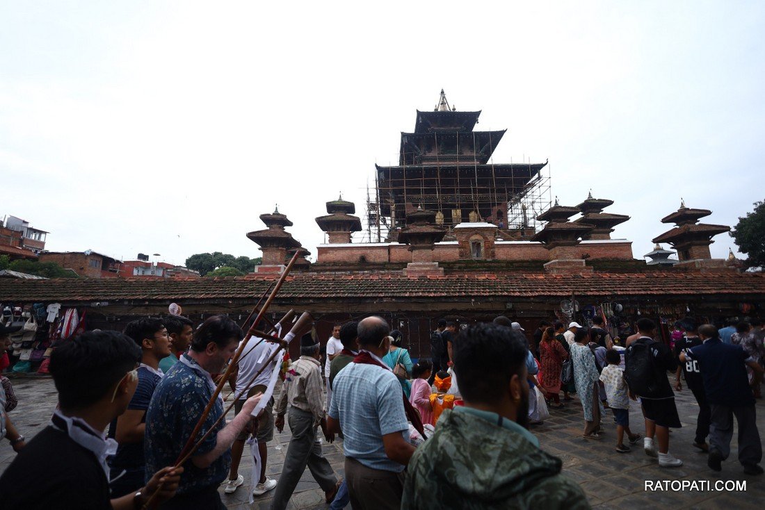 gaijatra (16)