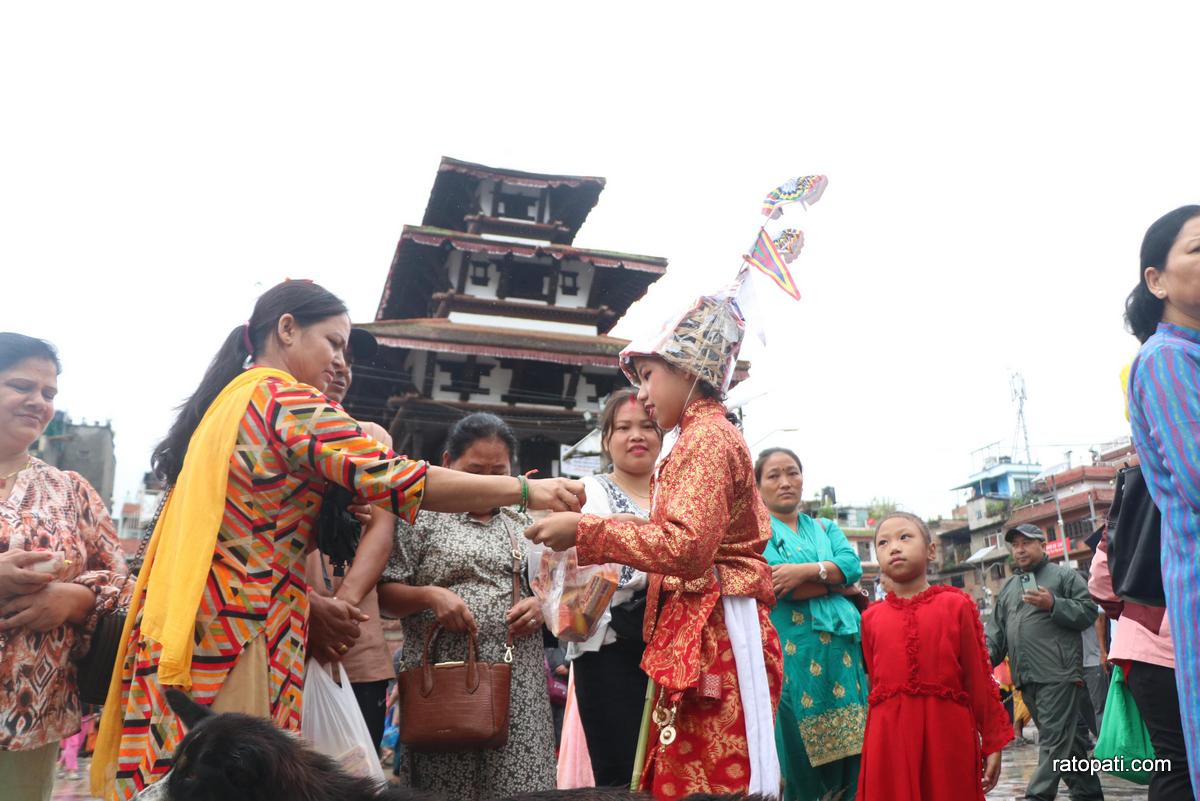 gaijatra (18)