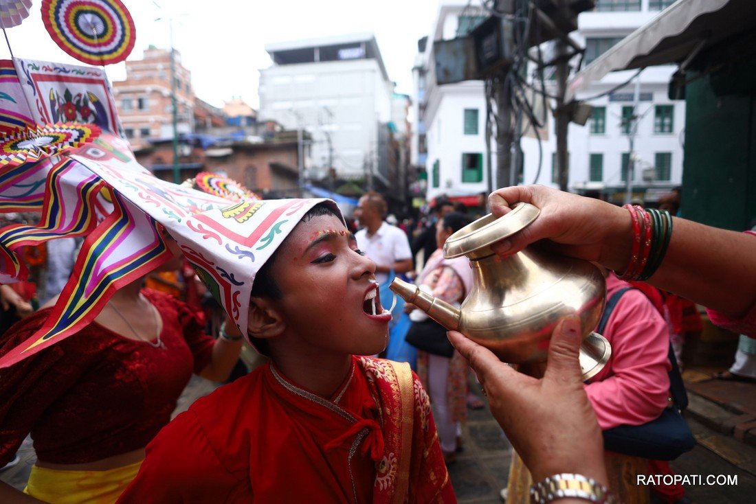 gaijatra (24)