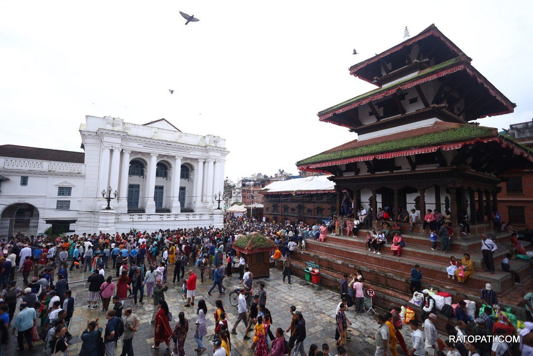 gaijatra (25)