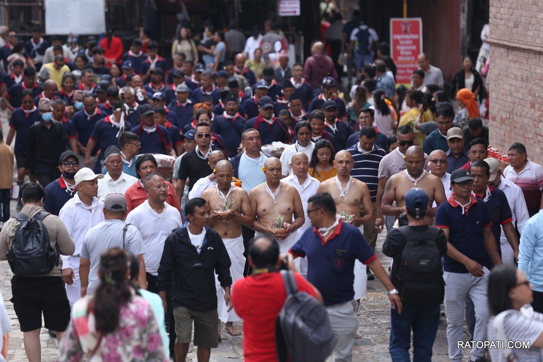 gaijatra (26)