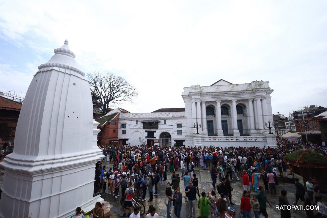 gaijatra (27)