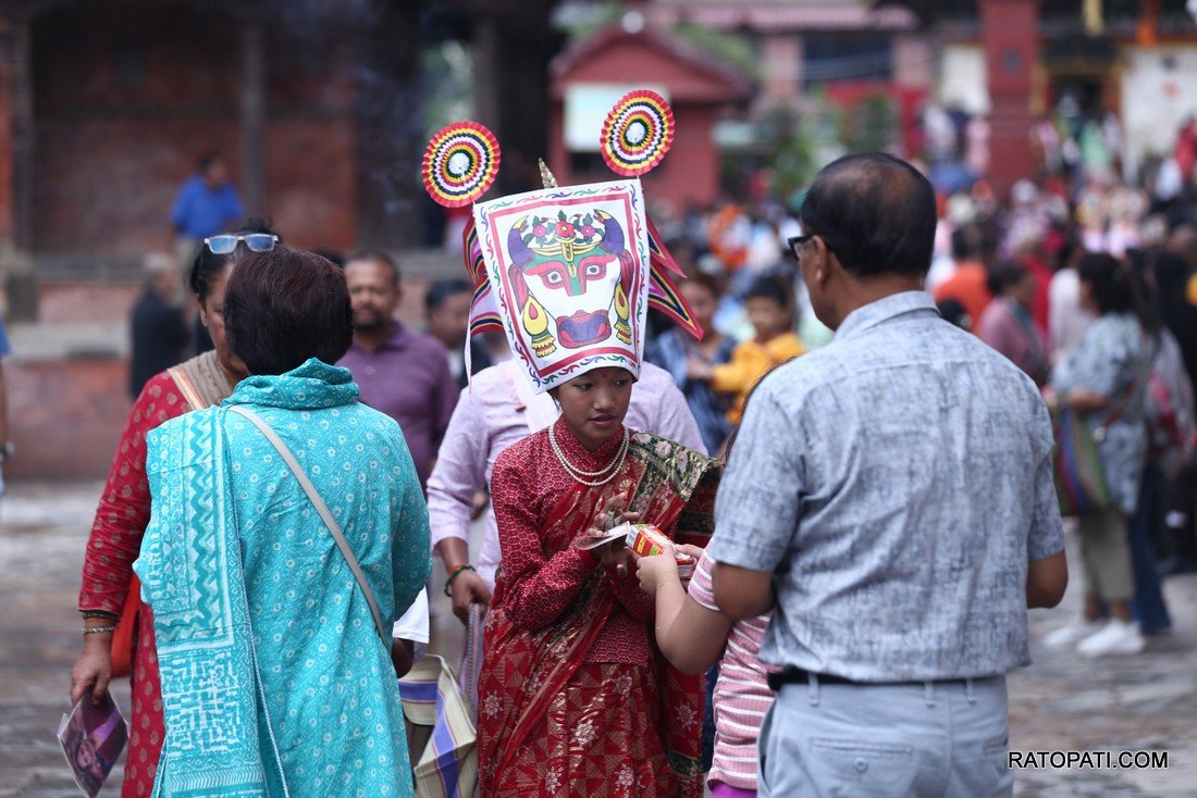 gaijatra (3)