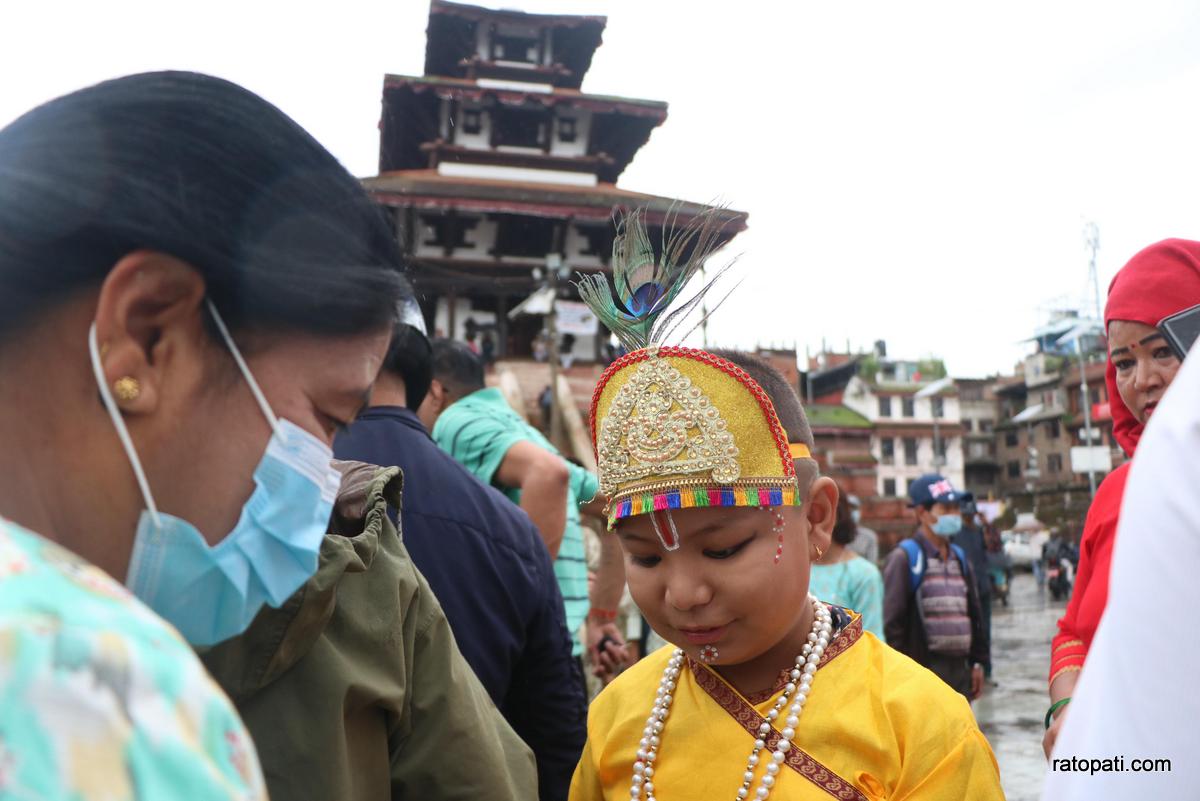 gaijatra (5)