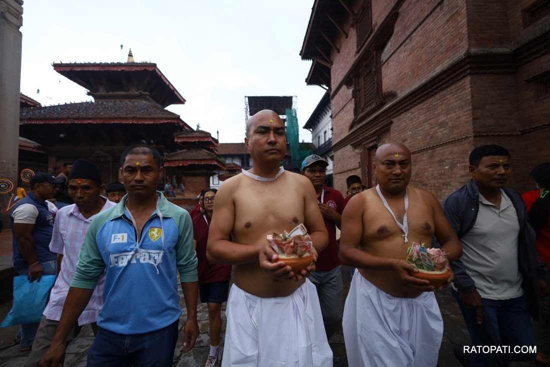 gaijatra (5)