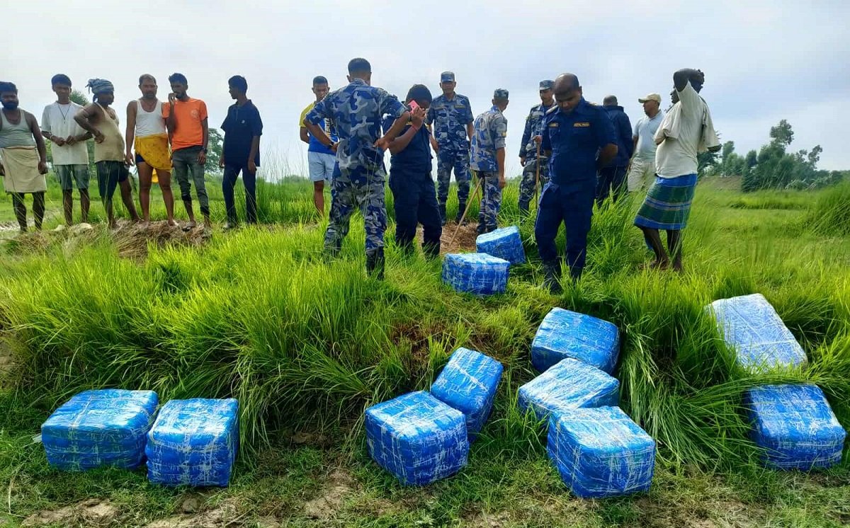   सप्तरीबाट ४ सय किलो गाँजा बरामद