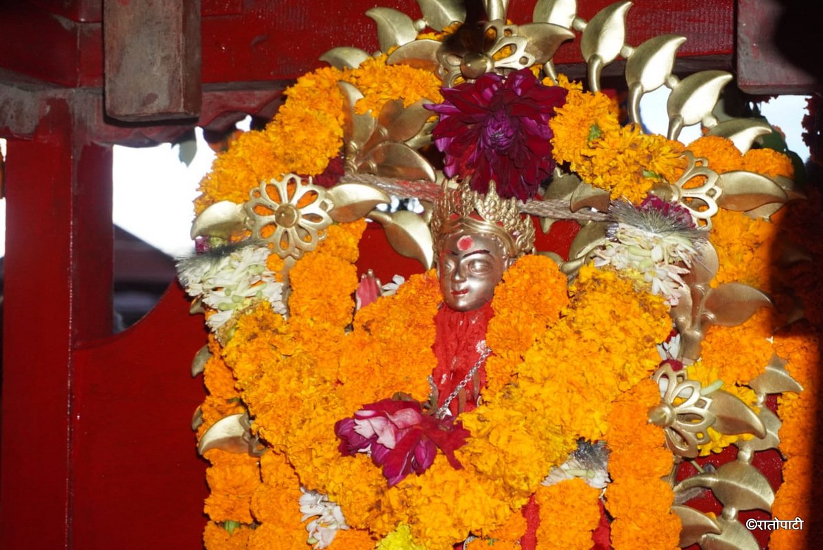 gangamai jatra (9)