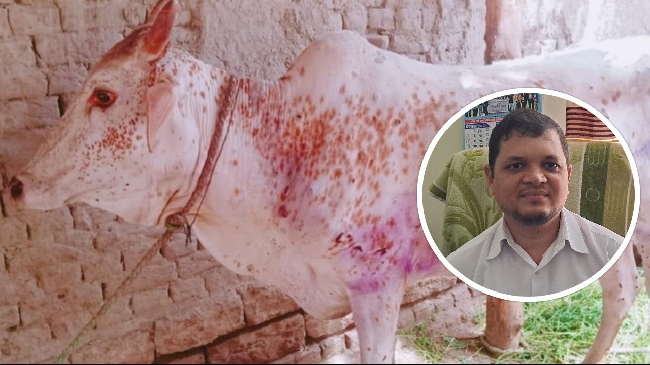   'लम्पी स्किनको सङ्क्रमण रोक्न प्रदेशमा खोप अभाव भयो'
