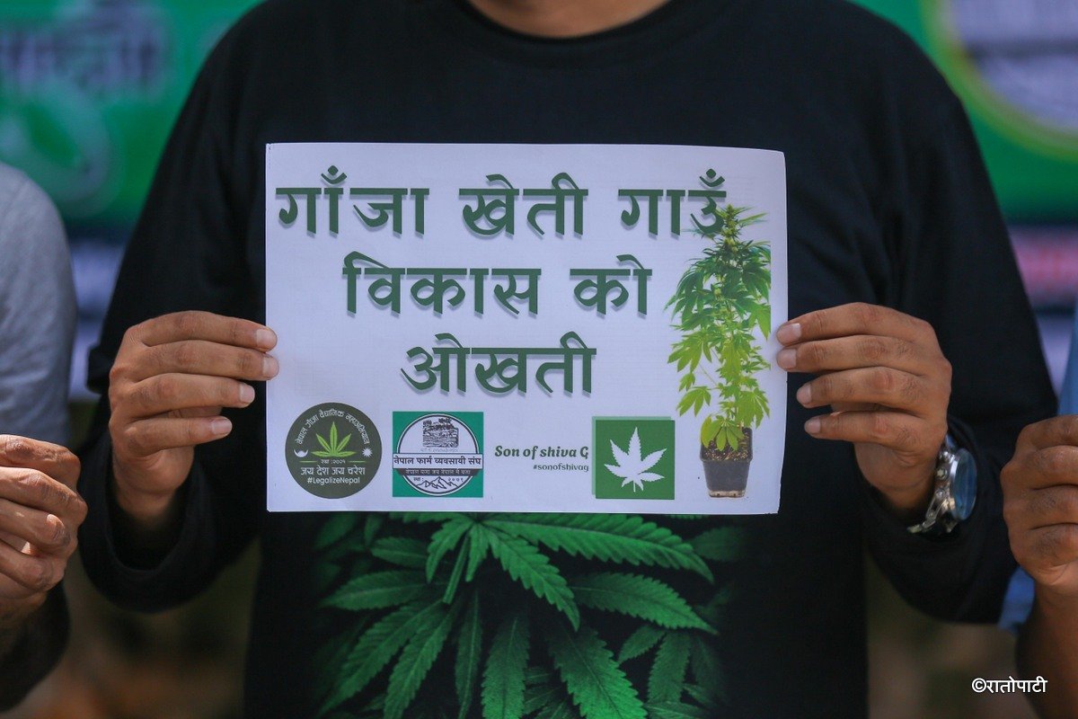 ganja protest (11)