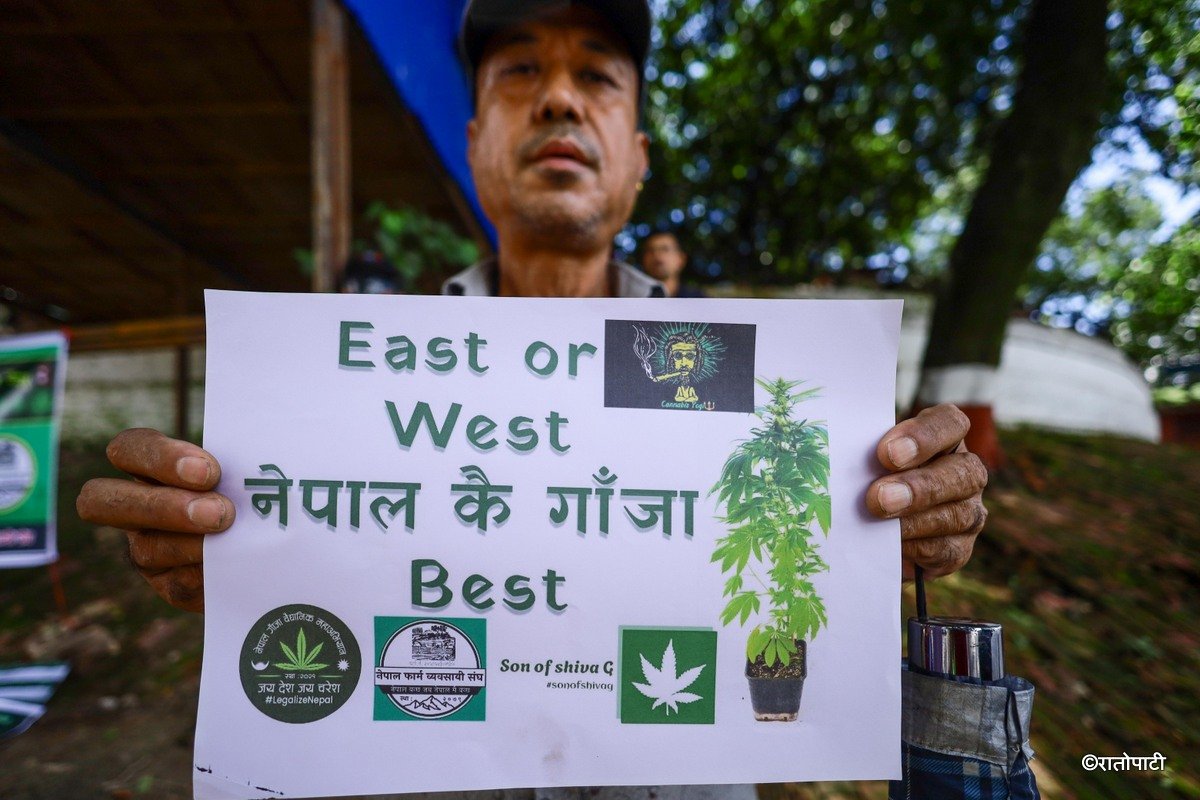 ganja protest (13)