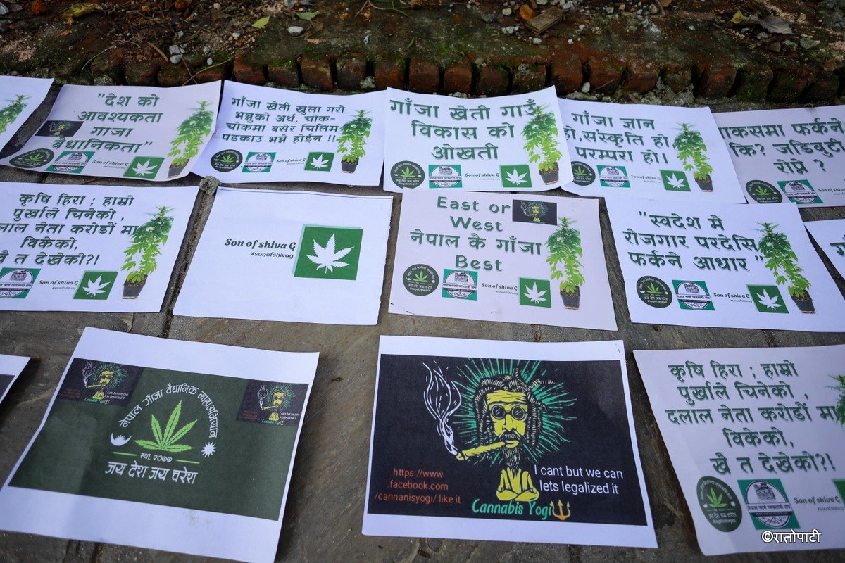 ganja protest (16)