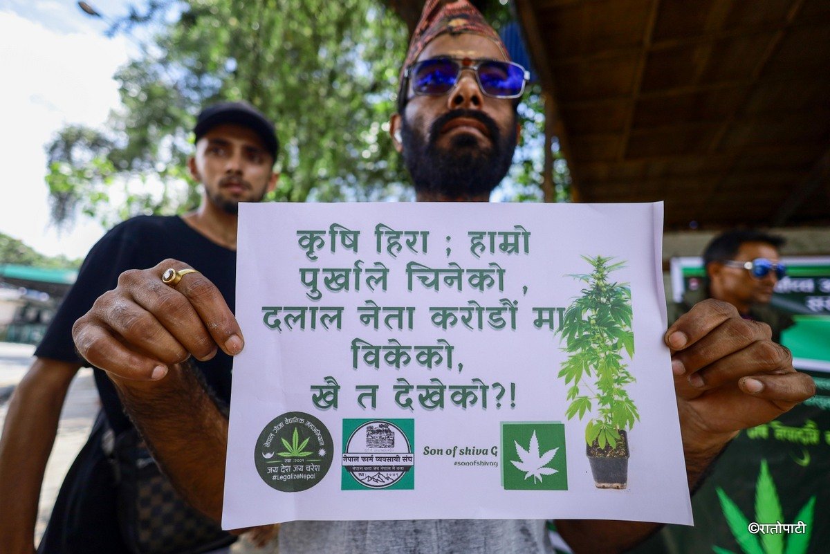 ganja protest (4)