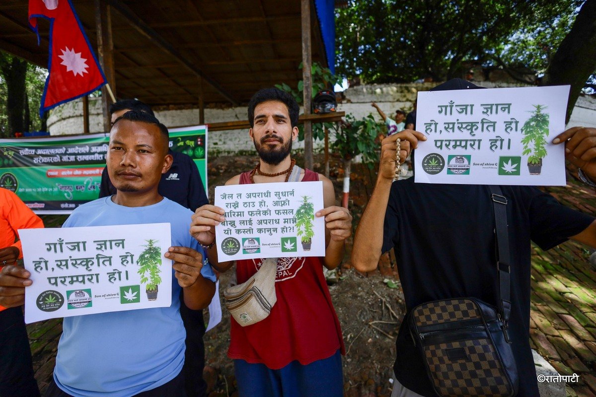 ganja protest (5)