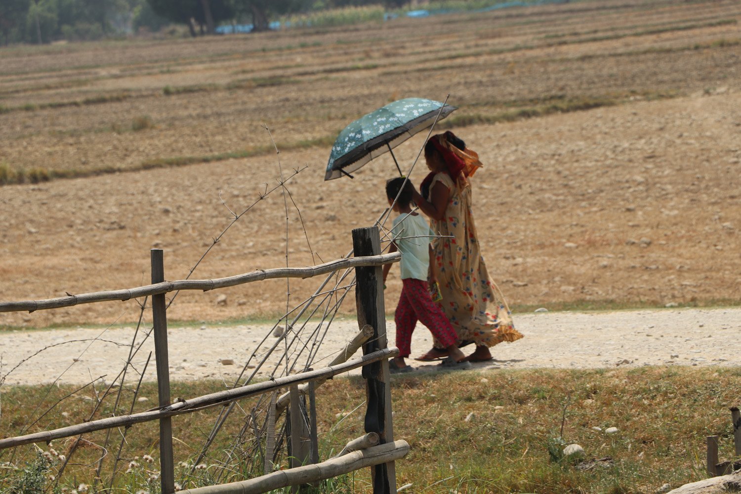 धनगढीमा अहिलेसम्मको उच्च तापमान, गर्मीले एक जनाको मृत्यु