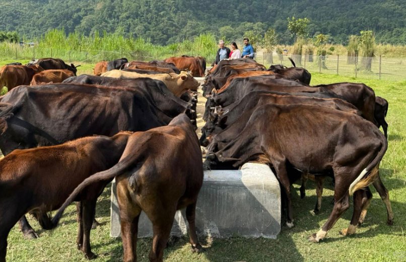   दाताको सहयोगले गौ संरक्षण केन्द्र सञ्चालनमा सहज