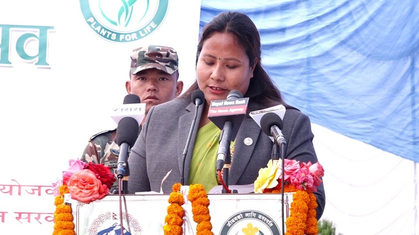   नेपालमा पाइने जडीबुटीबाट औषधि उत्पादनको ठुलो सम्भावना छ : मन्त्री चौधरी