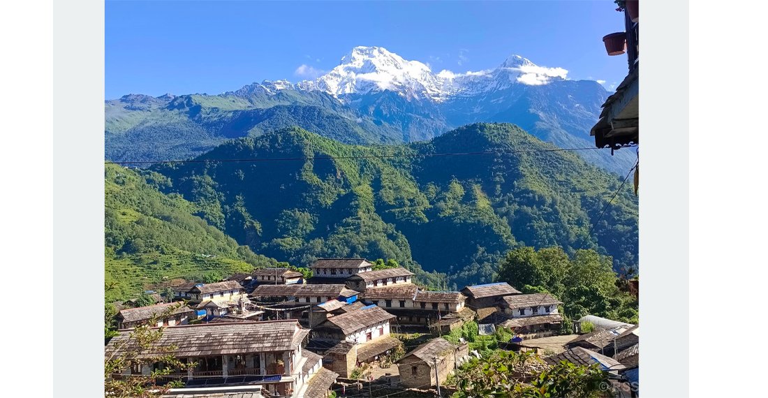   पर्यटक लोभ्याइरहने घान्द्रुक, गुरुङ समुदायको जीवन्त सङ्ग्रहालय