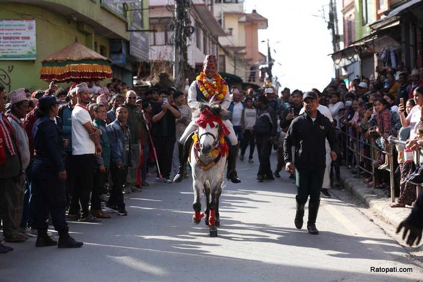 ghode-jatra (12)