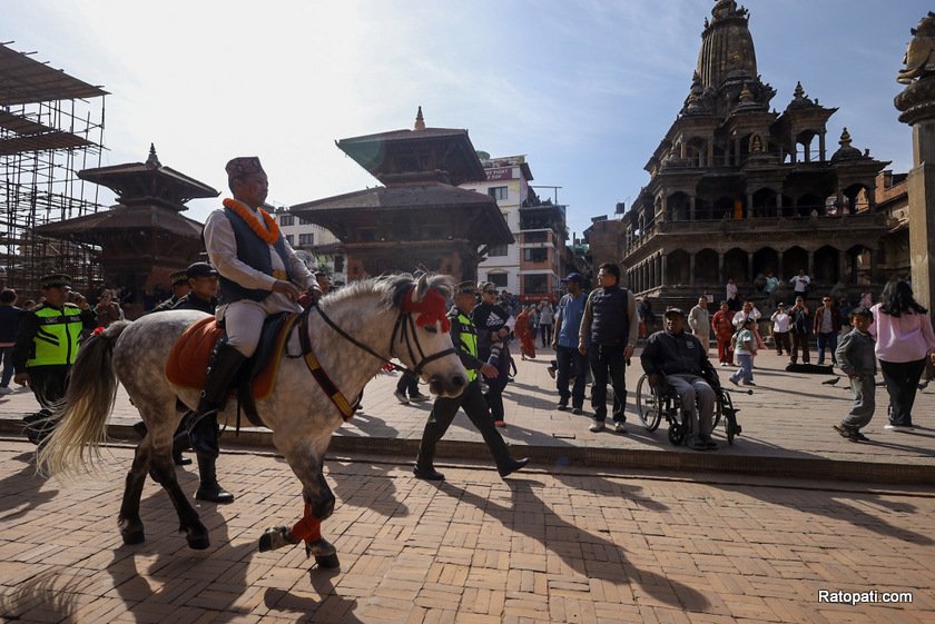 ghode-jatra (3)