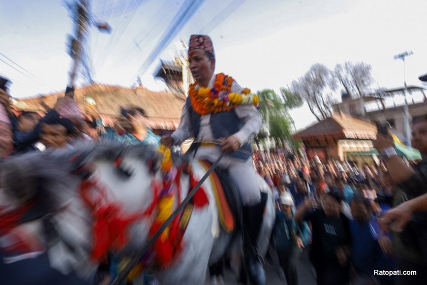 ghode-jatra (4)