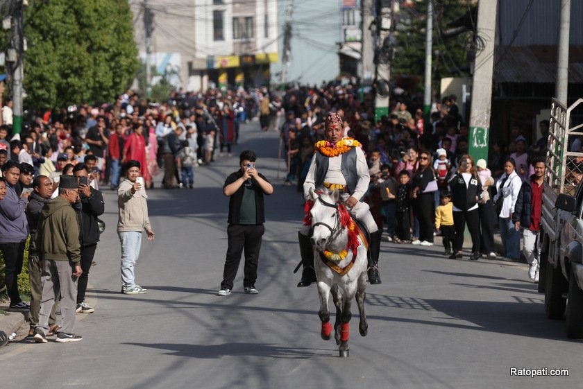 ghode-jatra (5)