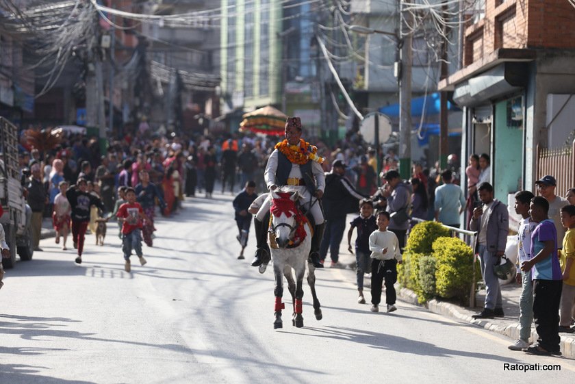 ghode-jatra (7)