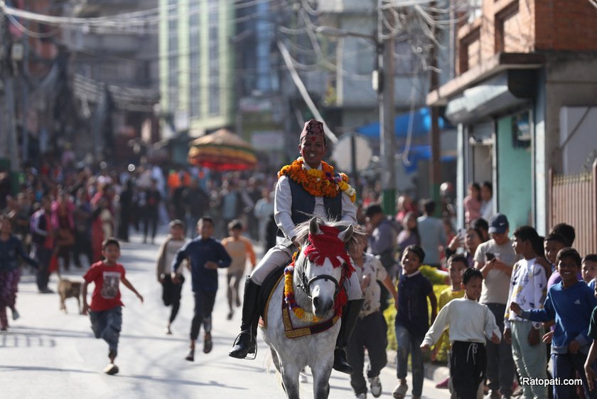ghode-jatra (8)