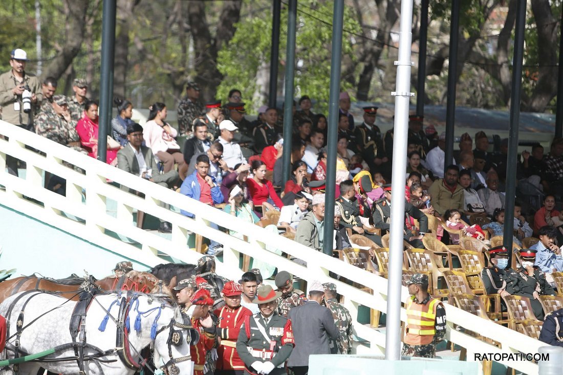 ghodejatra  (10)