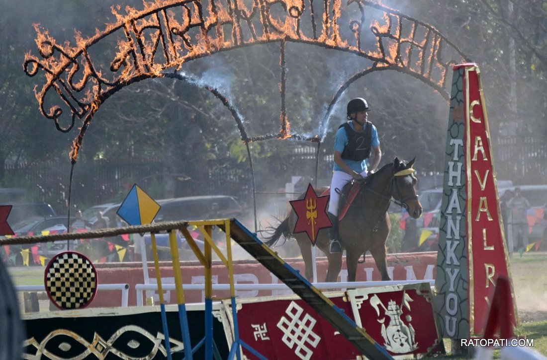 ghodejatra  (12)