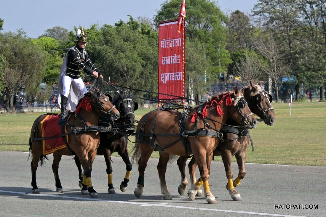 ghodejatra  (17)