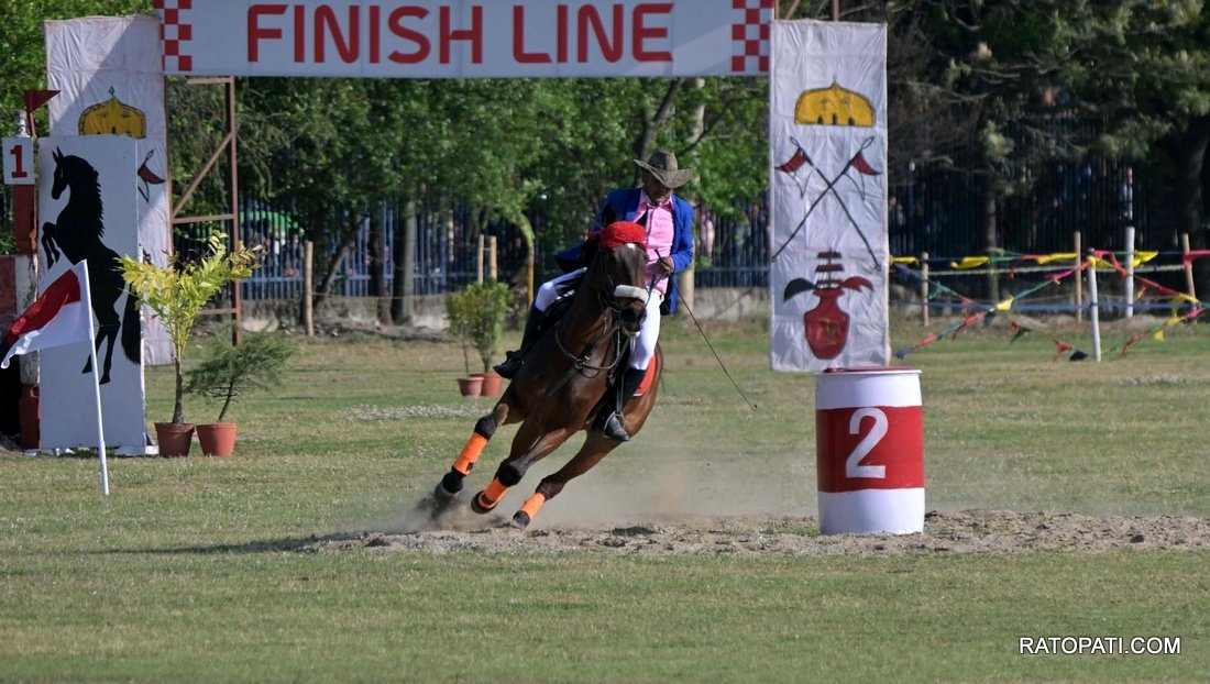 ghodejatra  (19)