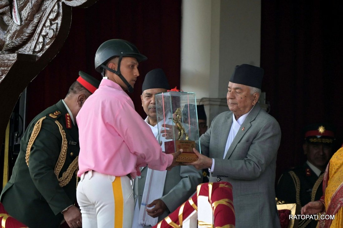 ghodejatra  (3)