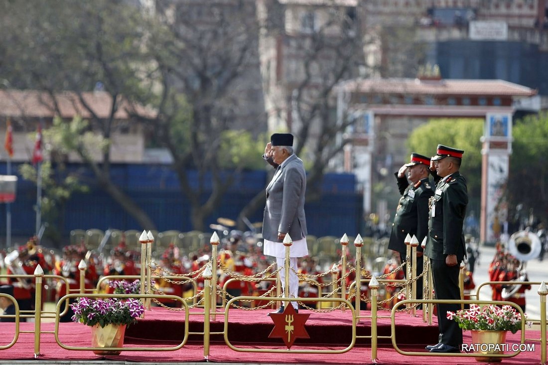 ghodejatra  (9)