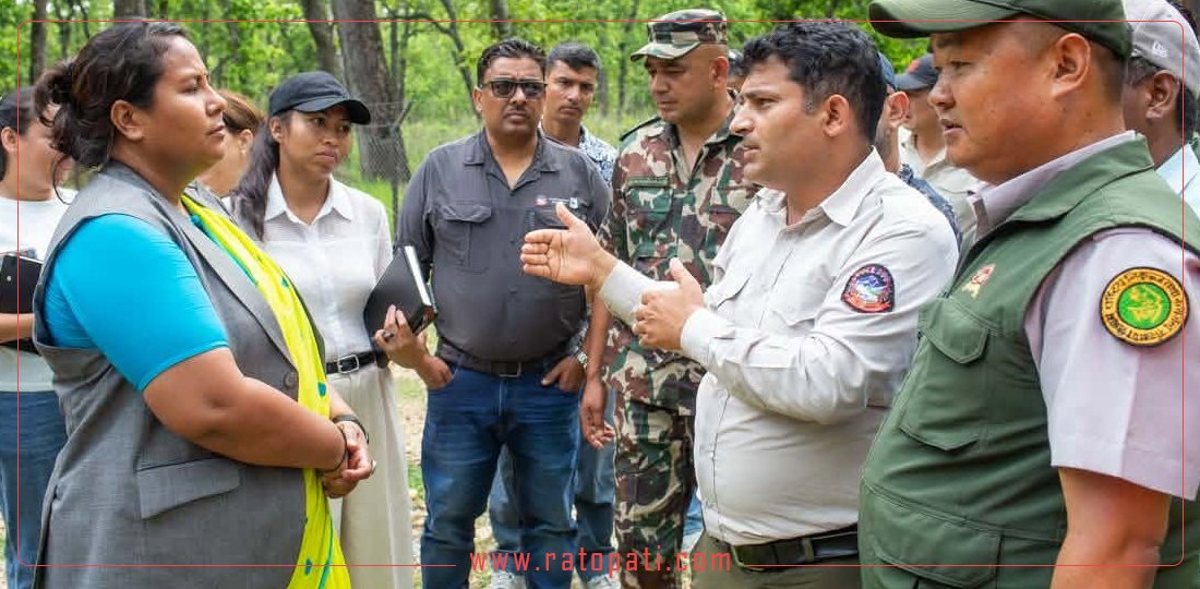 देवनगरमा ५० हेक्टरको 'टाइगर सेन्चुरी' बनाएर  समस्याग्रस्त बाघ व्यवस्थापन गर्ने सरकारको तयारी