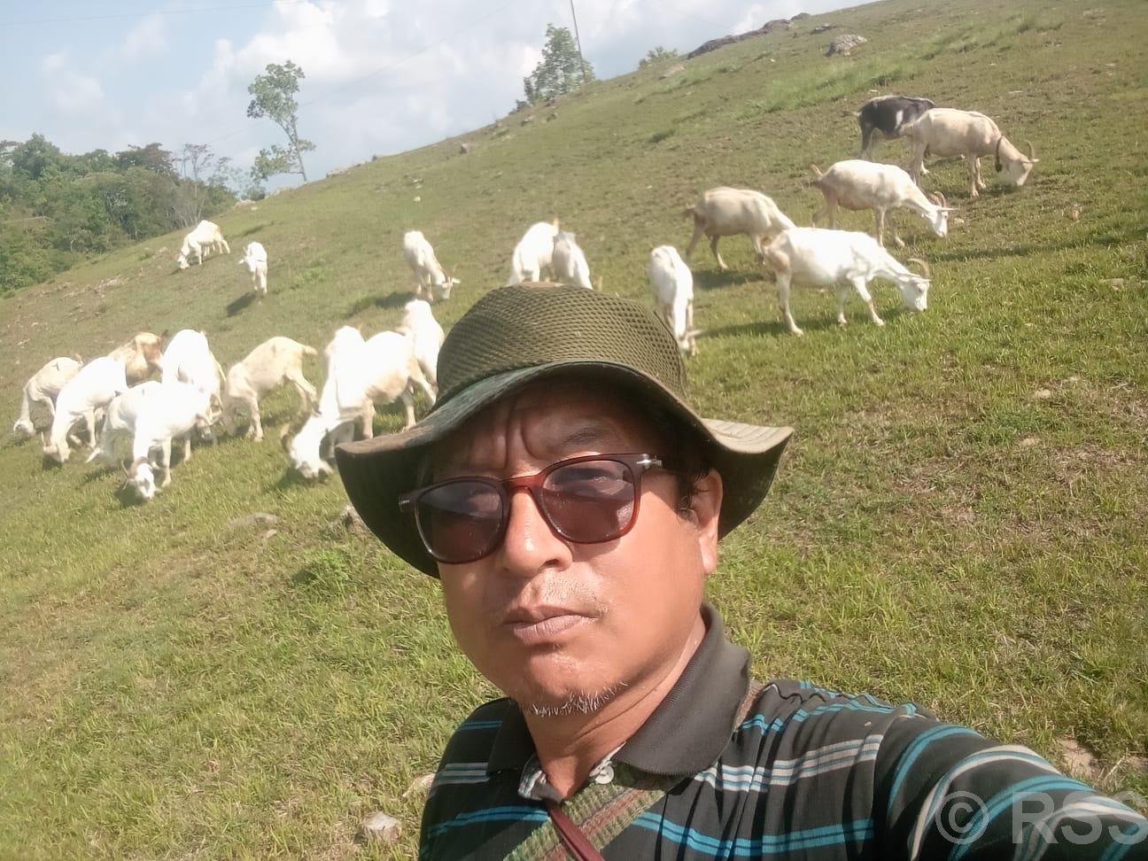 बाख्राको दूधबाट चिज बनाएर आम्दानी गर्दै गुरुङ