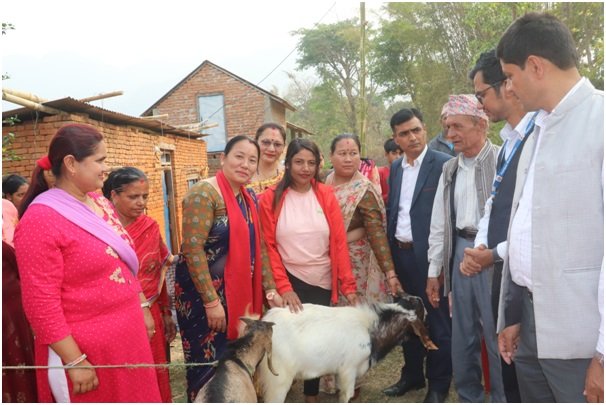 व्यावसायीकतामा जोड दिन बाख्रा उपहार