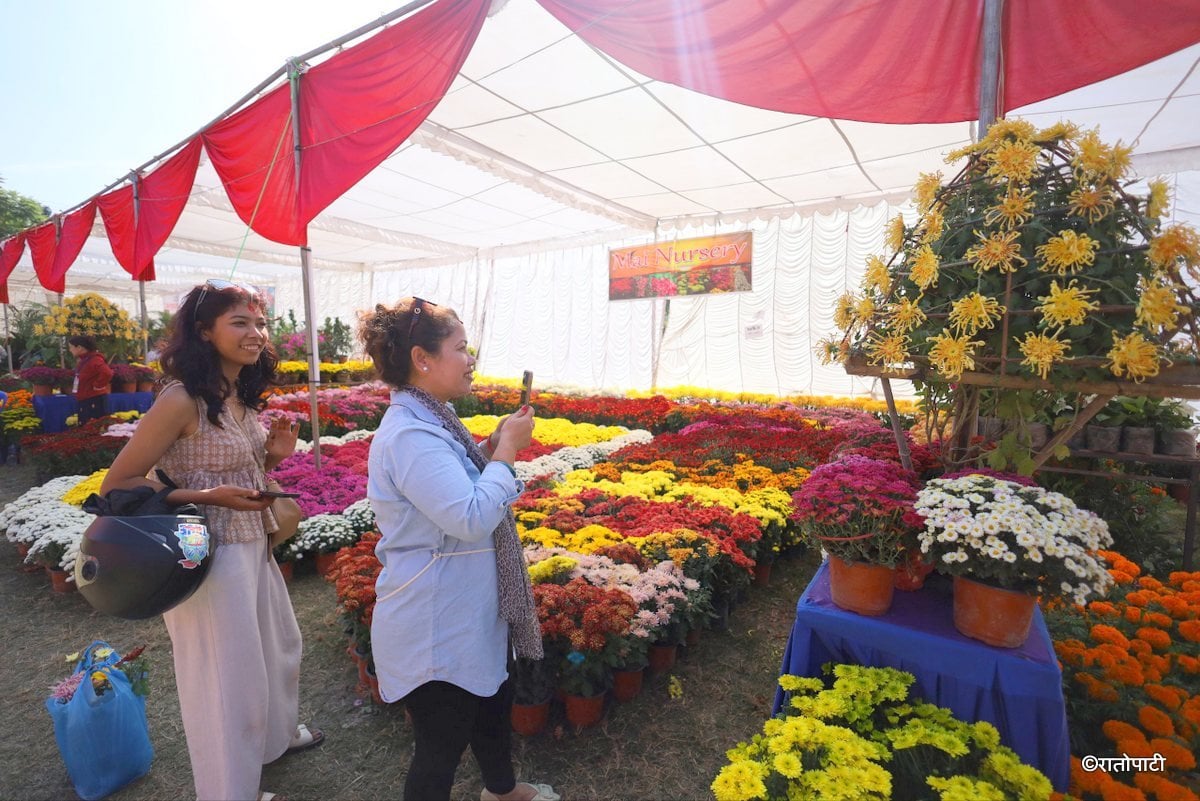 godawari flower exhibition (1)