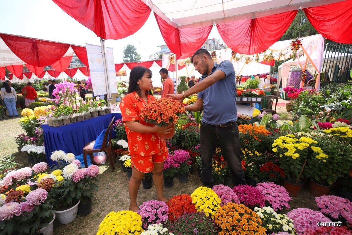 godawari flower exhibition (10)