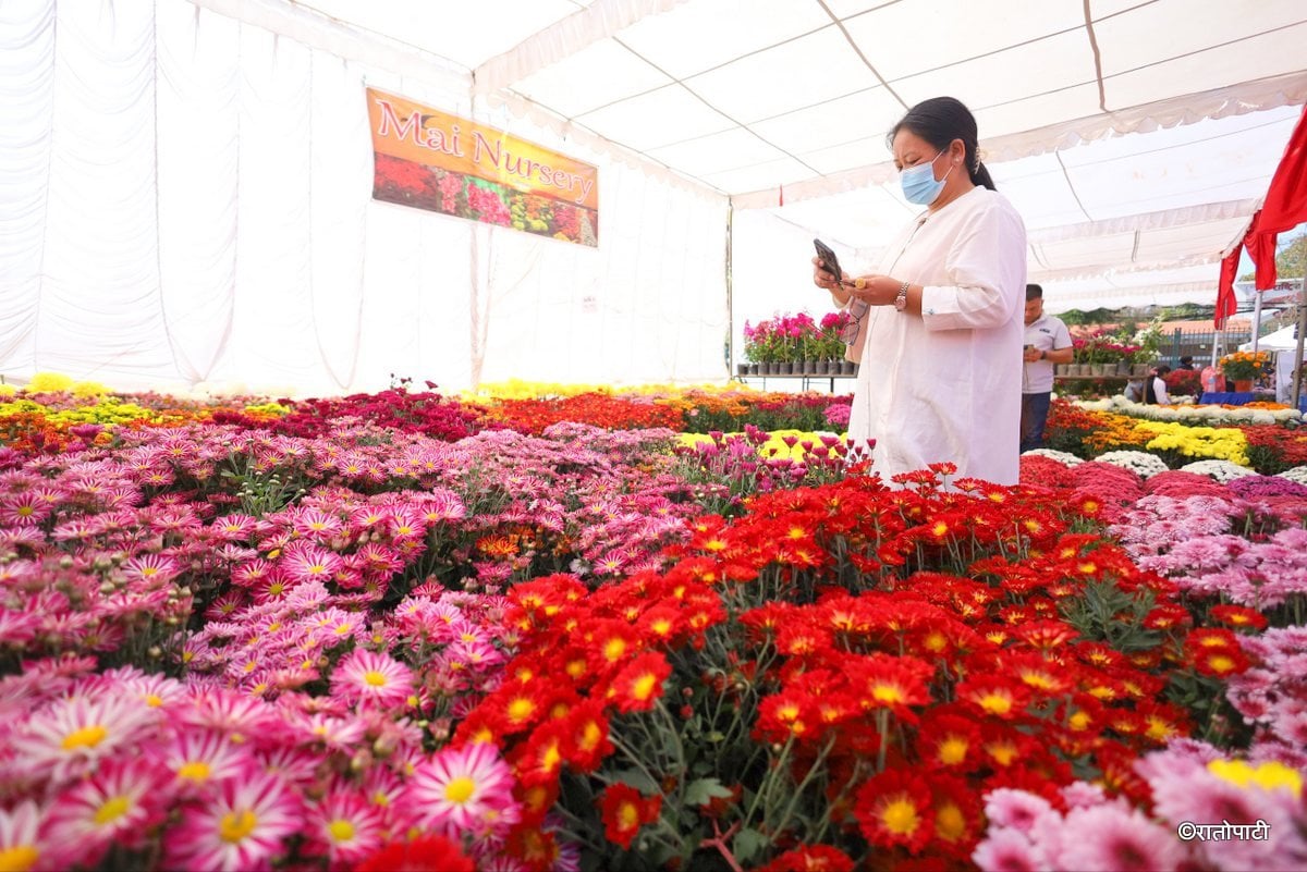 godawari flower exhibition (14)