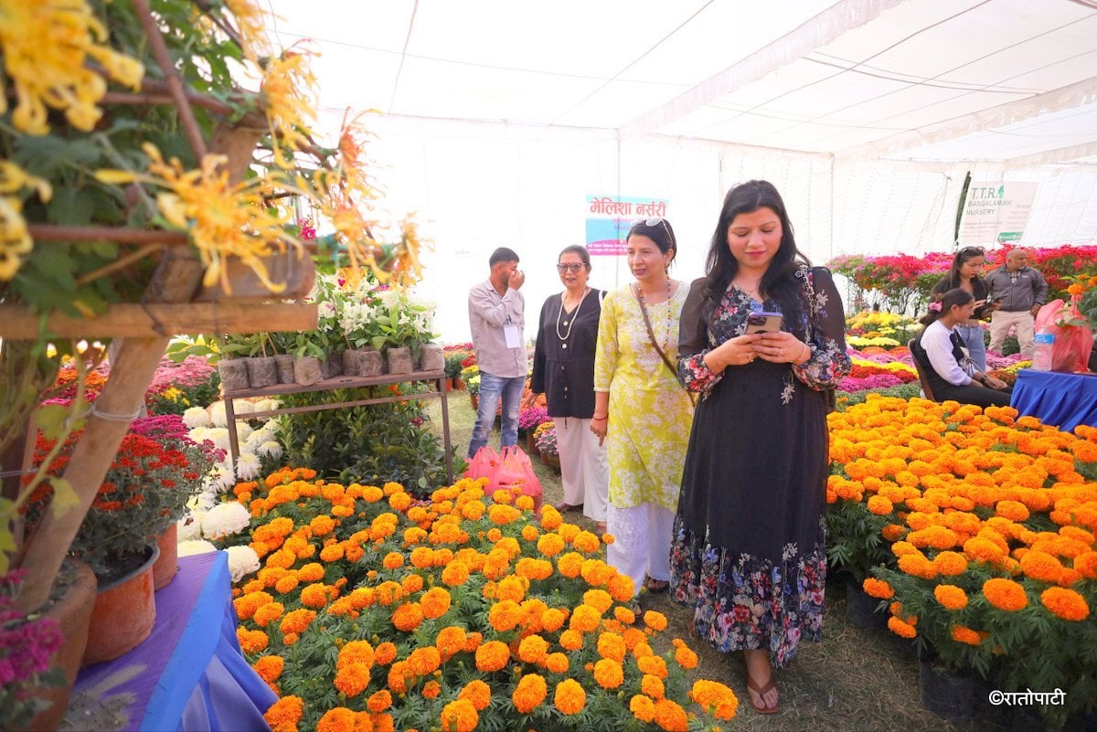 godawari flower exhibition (15)