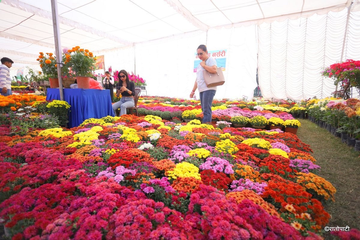 godawari flower exhibition (16)