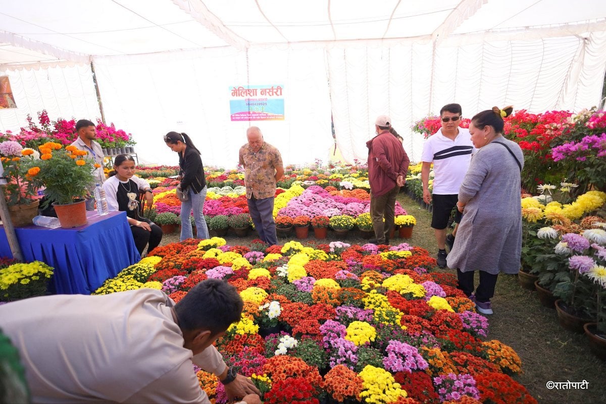 godawari flower exhibition (17)