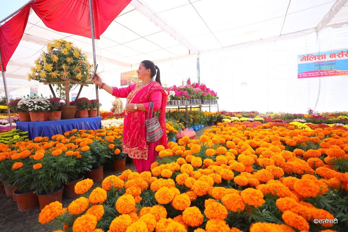 godawari flower exhibition (18)