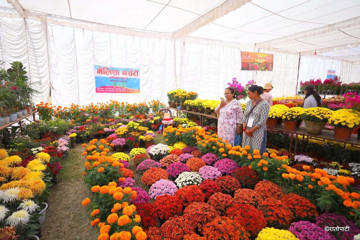 godawari flower exhibition (2)