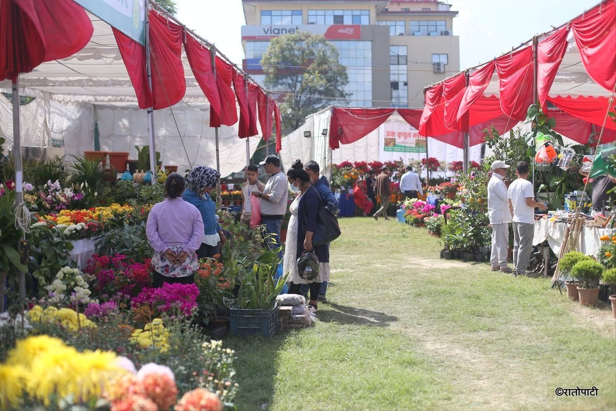 godawari flower exhibition (20)