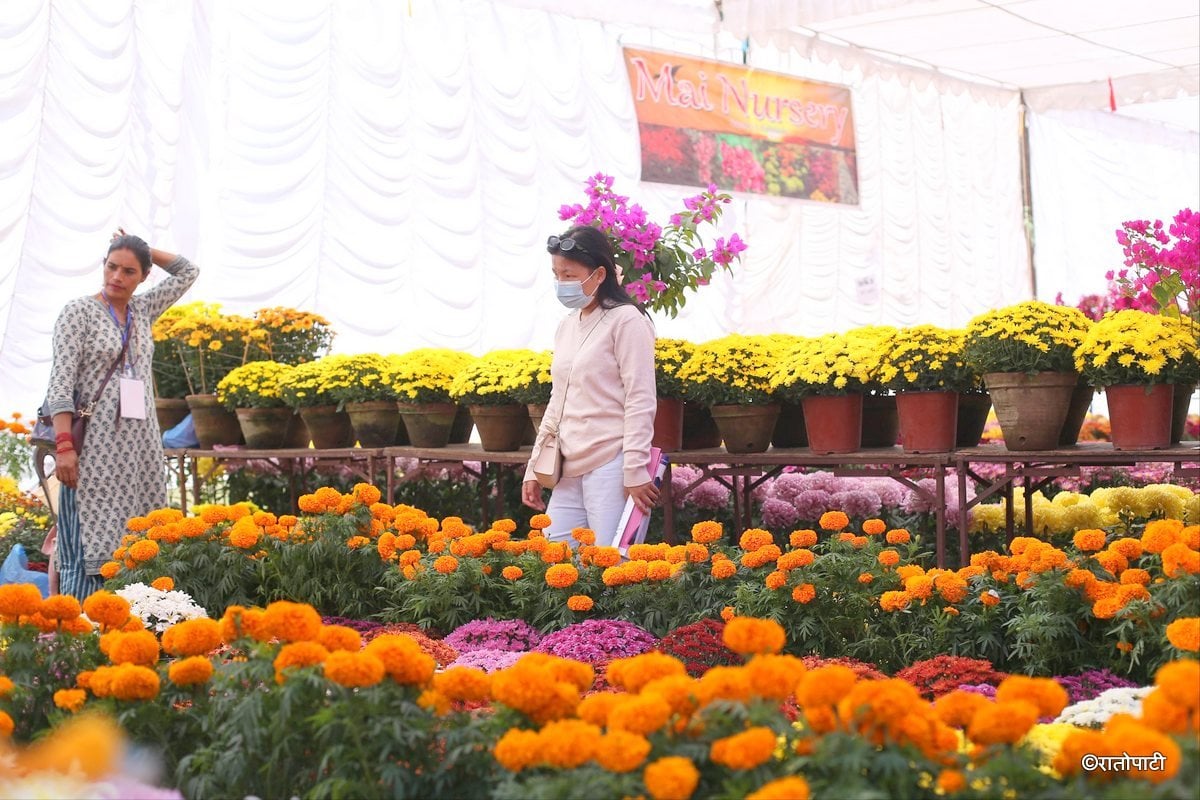 godawari flower exhibition (26)