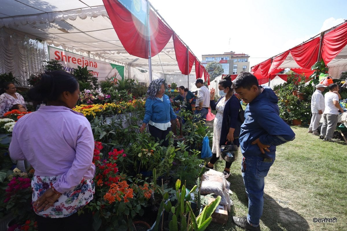 godawari flower exhibition (6)